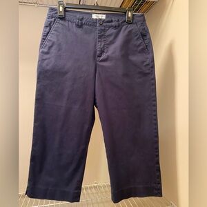 Coldwater Creek Dark Blue Cropped Pants Size P8